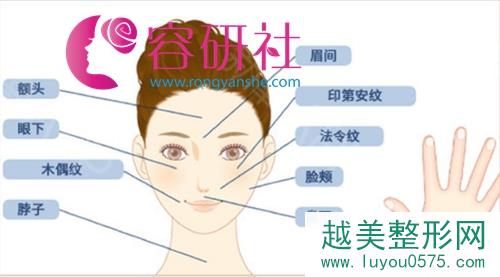 日本圣心医疗美容医院皮肤美容再生疗法适用人群